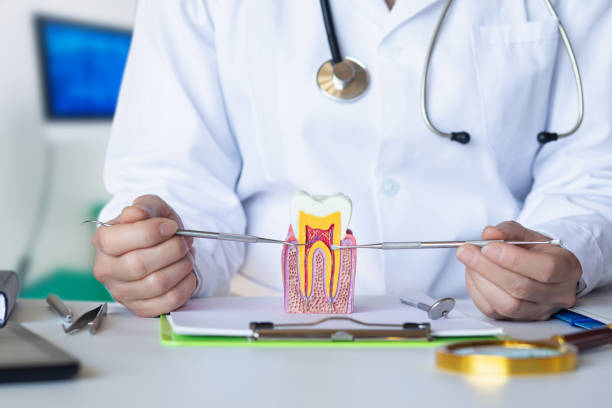 Best Weekend Emergency Dentist in Forest Park, IL
